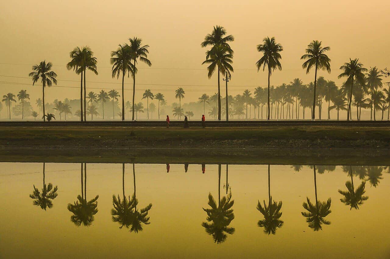 নিঝুম দ্বীপ