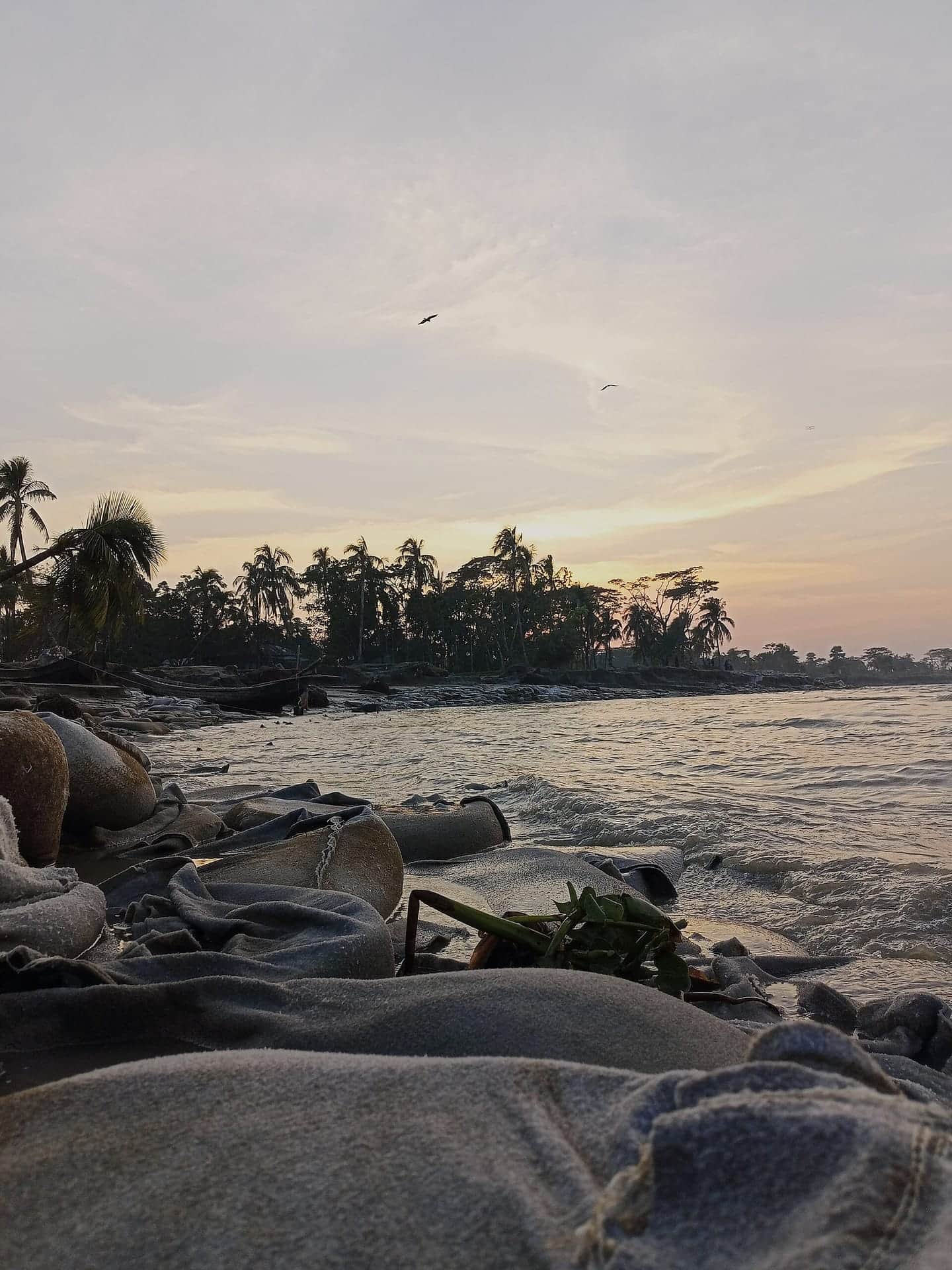 তমরুদ্দিন সৈকত