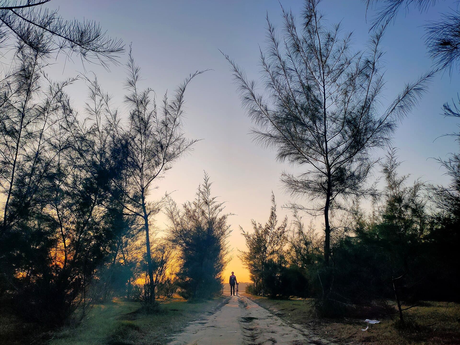 কমলার দিঘি