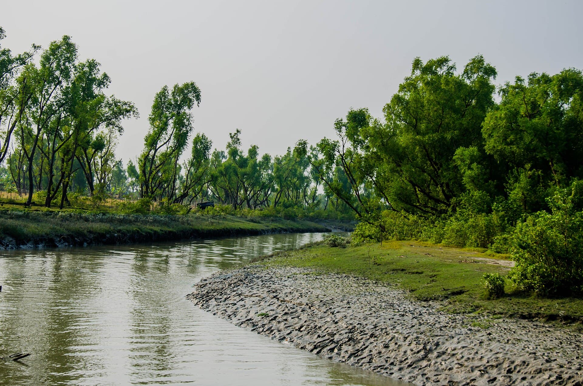 নিঝুম দ্বীপ