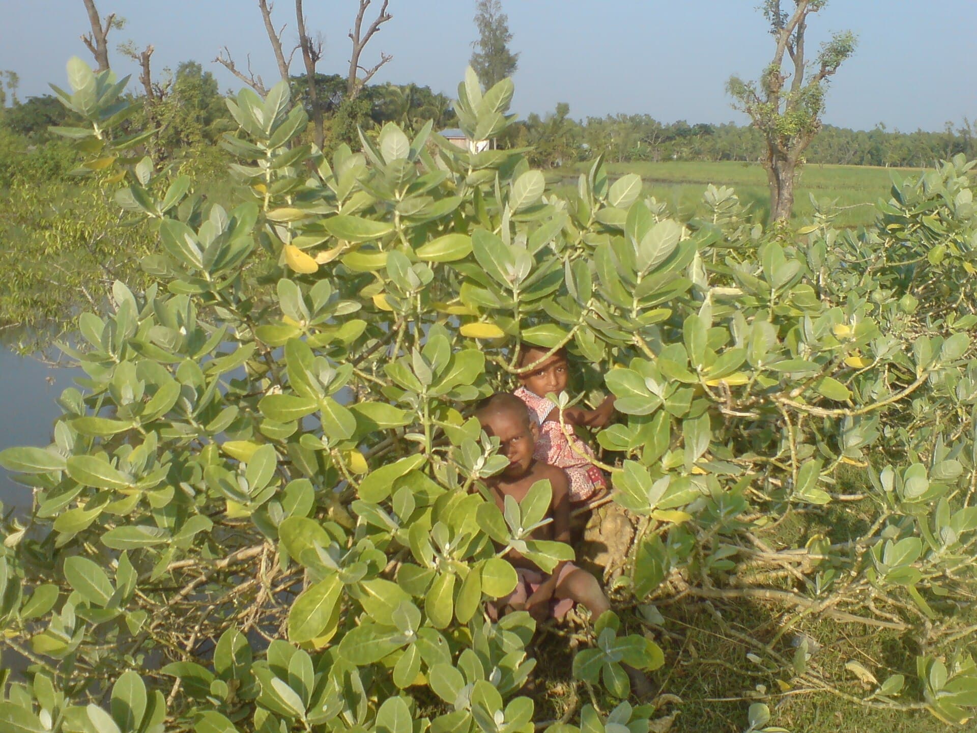 নিঝুম দ্বীপ জাতীয় উদ্যান