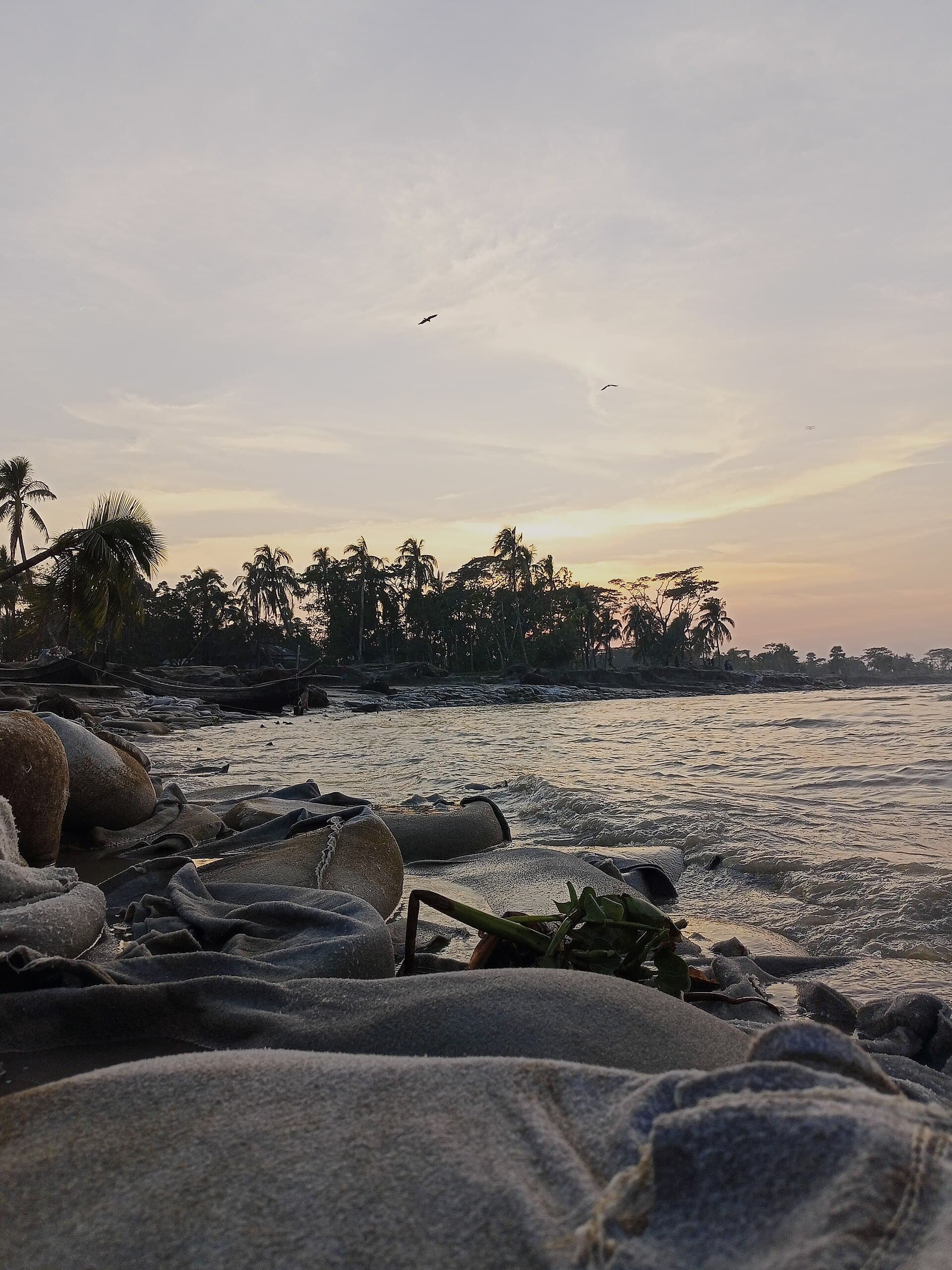 তমরুদ্দিন সৈকত