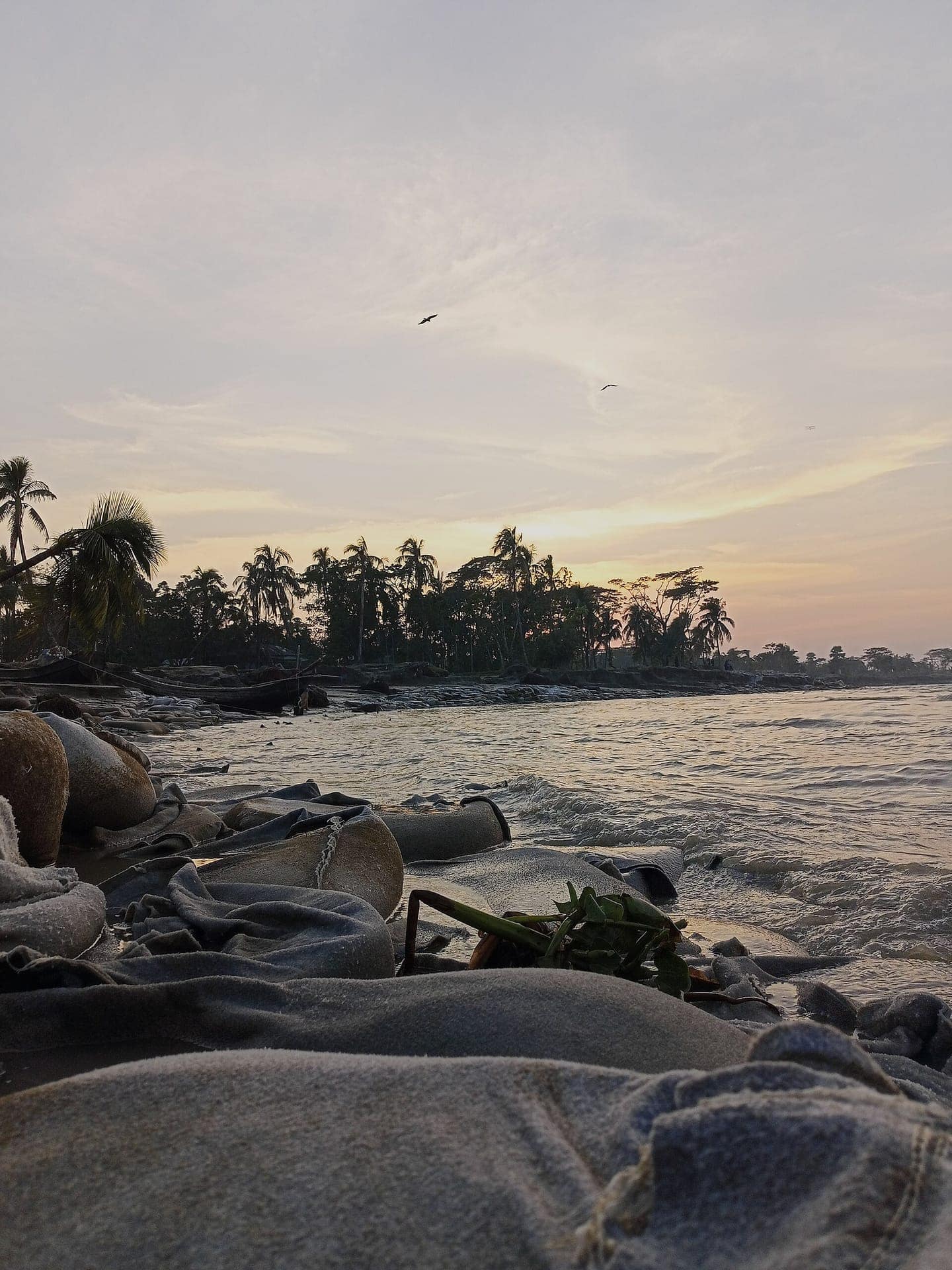 তমরুদ্দিন সৈকত